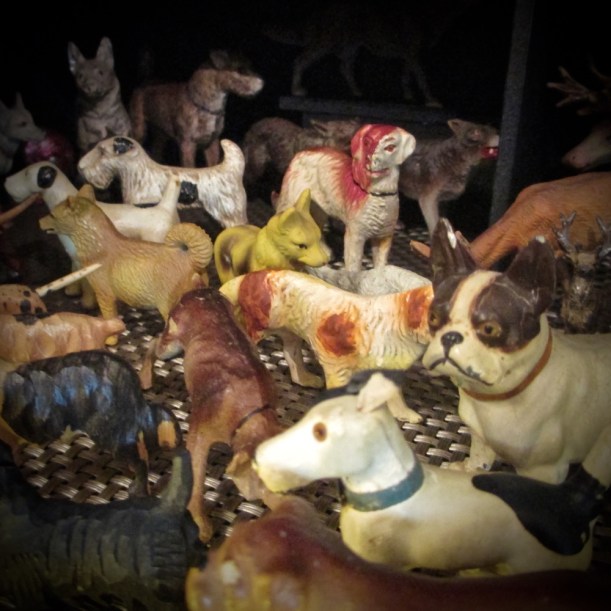 ......dogs. Lots and lots of canines.