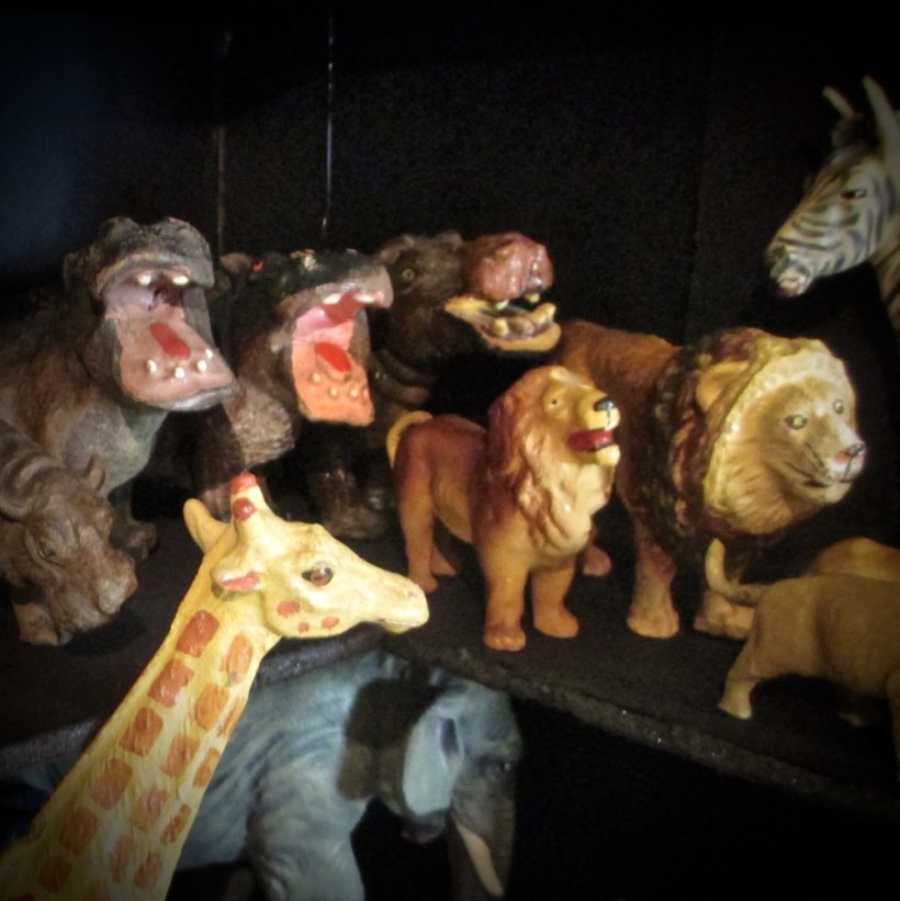 Giraffe, yawning hippos, and lions